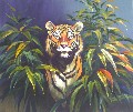 Tiger (061)